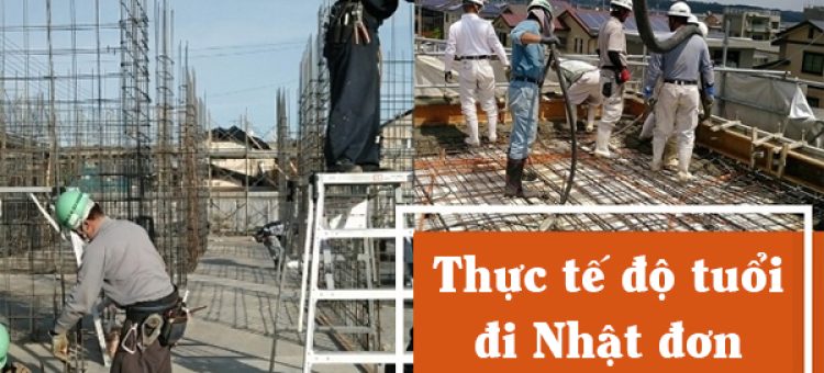 Thực Tế Độ Tuổi Đi Nhật Đơn Hàng Cốt Thép