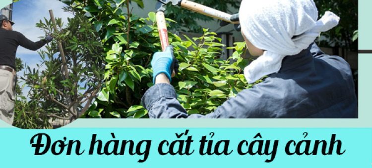 Tuyển Dụng Thực Tập Sinh Đi Nhật Đơn Hàng Cắt Tỉa Cây Cảnh