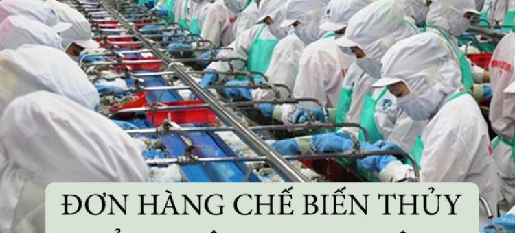Tuyển Thực Tập Sinh Sang Nhật Đơn Hàng Chế Biến Thủy Sản Không Gia Nhiệt