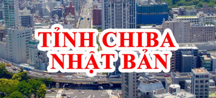 XKLĐ Nhật Bản 2021 Tỉnh Chiba