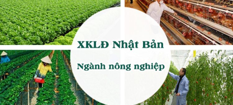 Xuất Khẩu Lao Động Nhật Bản Nông Nghiệp Nên Hay Không Nên?